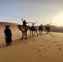 Desert Camp Morocco Sunset View Lanterns Palm Trees