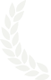 Decorative award wings