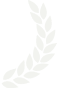 Decorative award wings