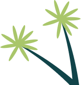 Palm tree icon
