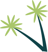 Decorative palm tree icon