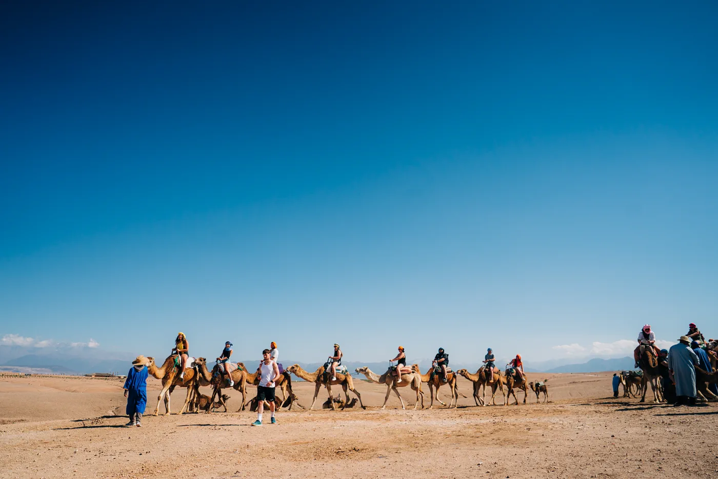 Morocco Quest corporate group on a camel caravan desert team-building challenge near Marrakech