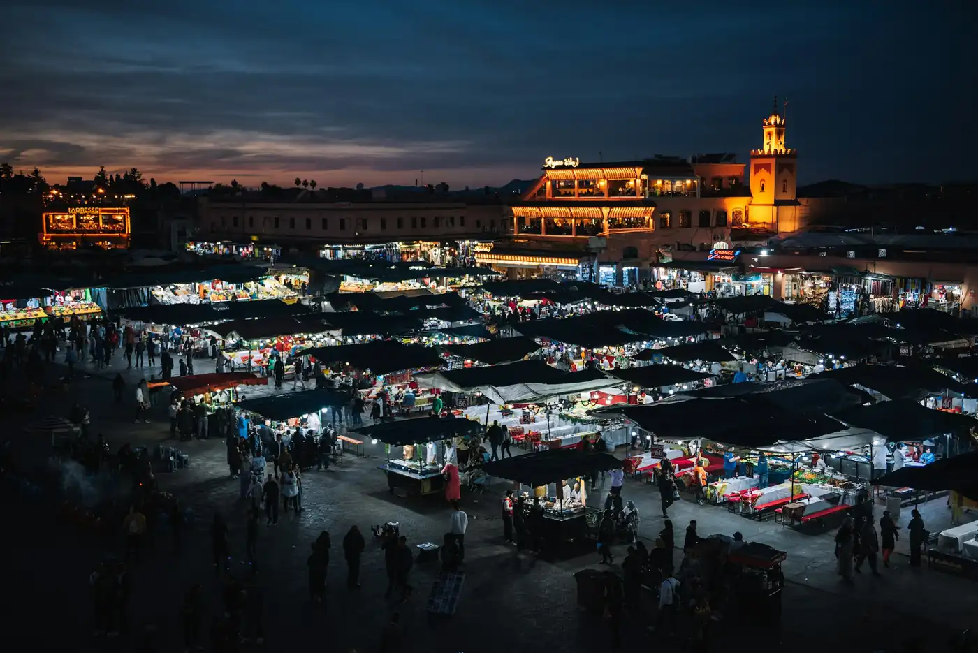 Marrakech skyline with the Atlas Mountains behind, base for Morocco Quest 360 event programmes