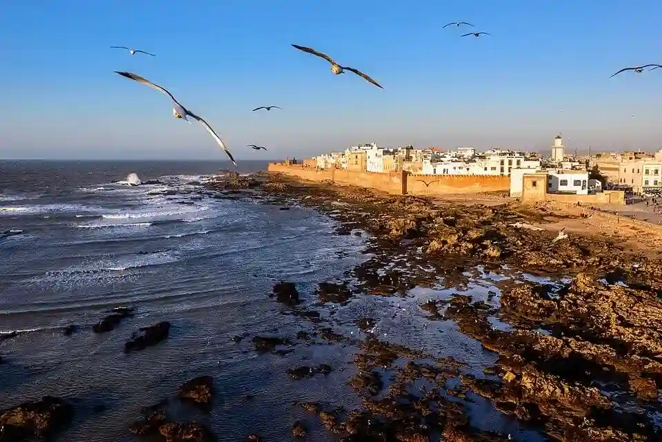 Discover 5-DAY MARRAKECH & ESSAOUIRA DUO in Marrakech
