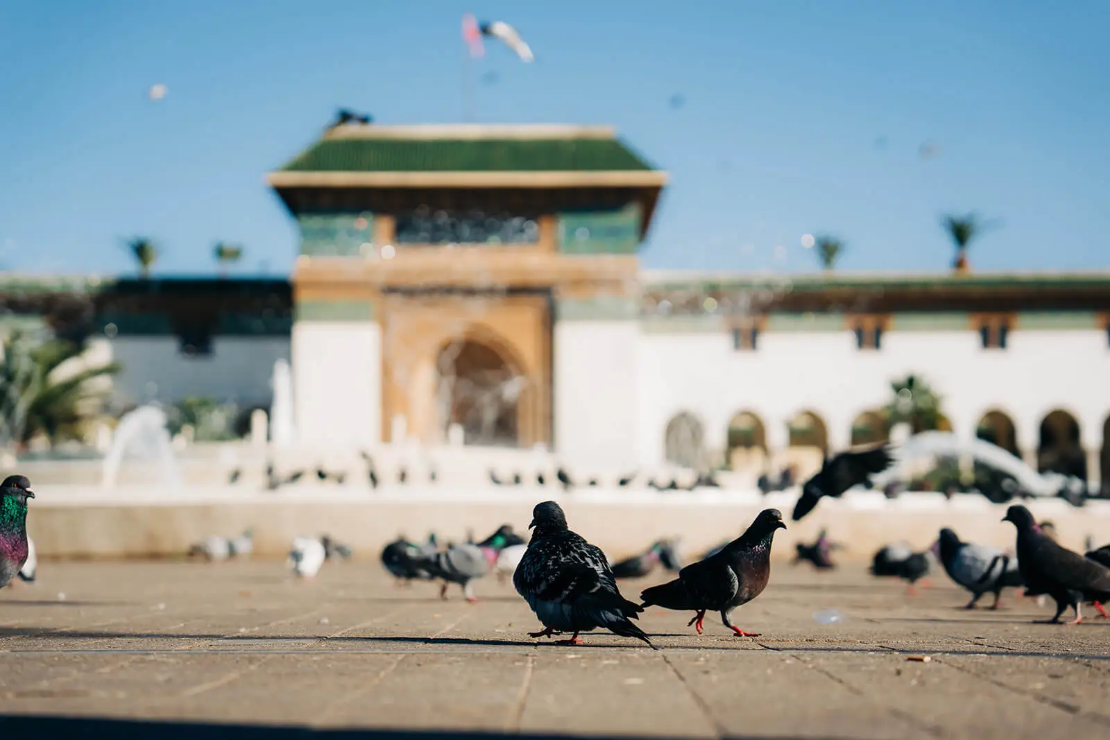Explore tours in Casablanca, Morocco