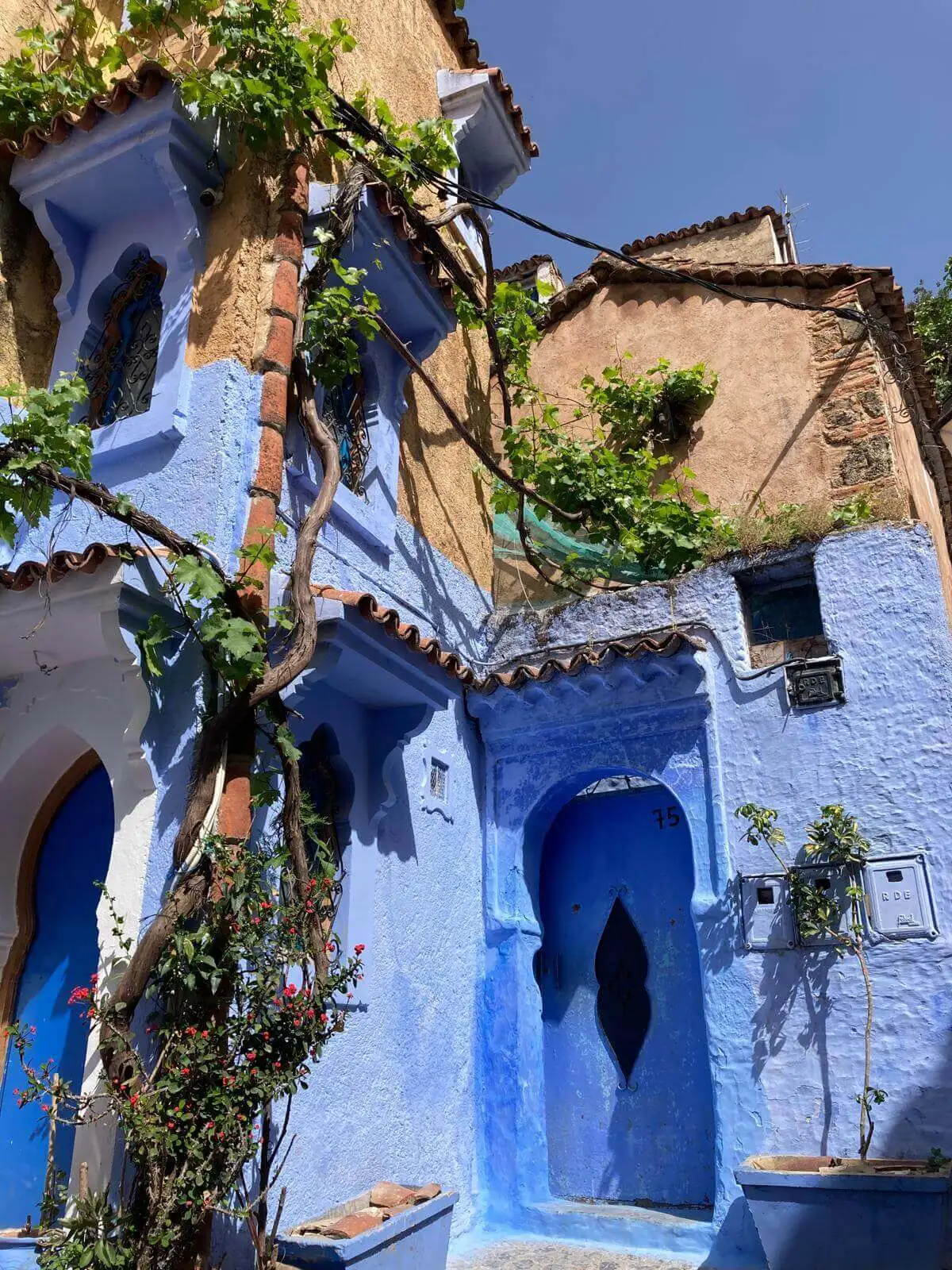 A Day in the Blue Pearl: Chefchaouen Day Trip from Rabat 