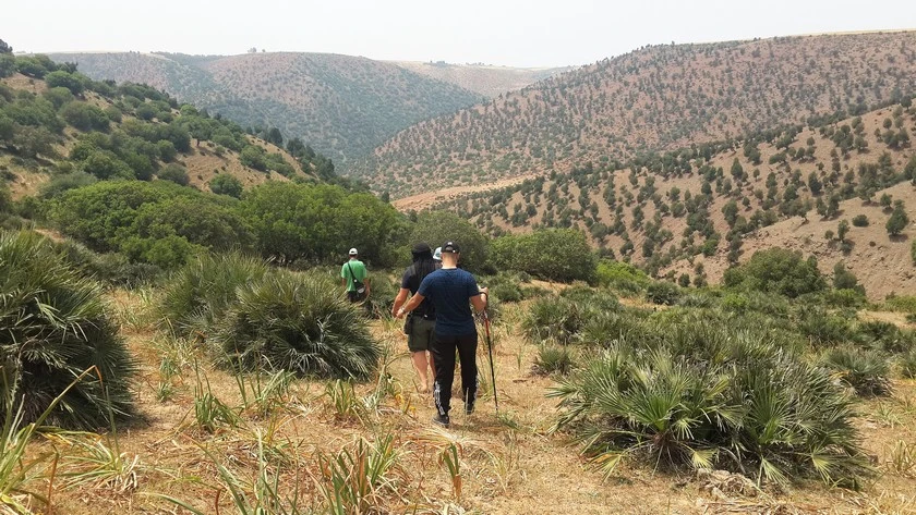 A Taste of Rural Morocco: Day Trip to Had El Brachoua